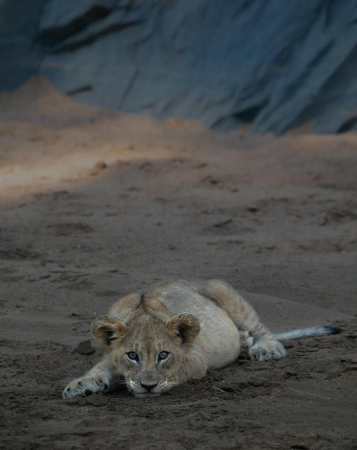 Rhino Sands Safari Camp Manyoni Private Game Reserve Exterior photo